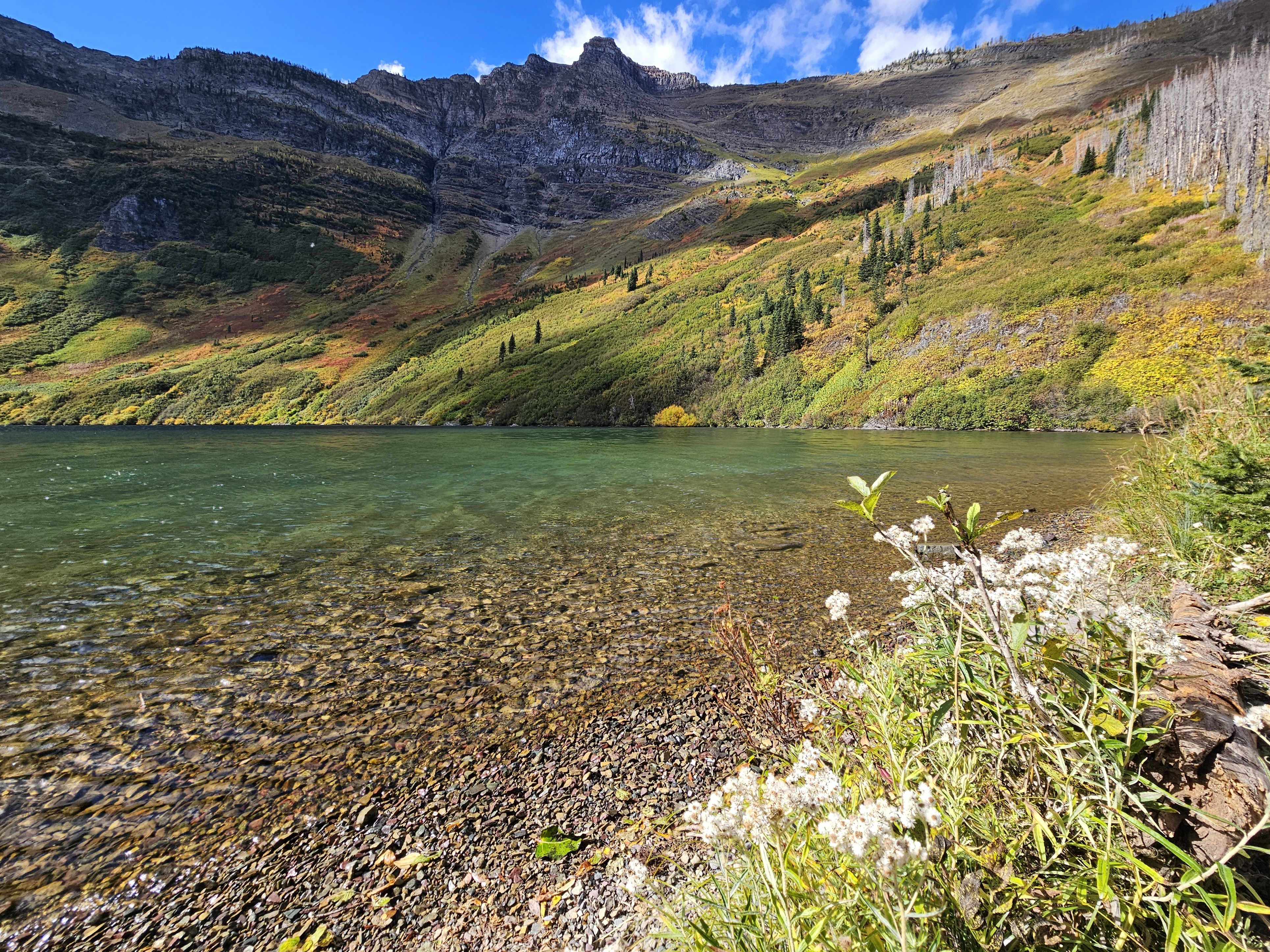 Cameron Lake